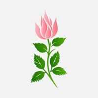blooming flowers and leaves, Spring botanical flat illustration on white background vector