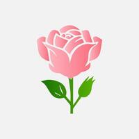 blooming flowers and leaves, Spring botanical flat illustration on white background vector