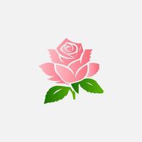blooming flowers and leaves, Spring botanical flat illustration on white background vector