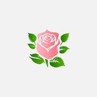 blooming flowers and leaves, Spring botanical flat illustration on white background vector