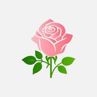 blooming flowers and leaves, Spring botanical flat illustration on white background vector