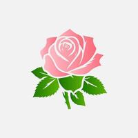 blooming flowers and leaves, Spring botanical flat illustration on white background vector