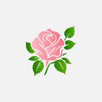 blooming flowers and leaves, Spring botanical flat illustration on white background vector