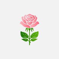 blooming flowers and leaves, Spring botanical flat illustration on white background vector