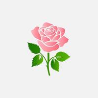 blooming flowers and leaves, Spring botanical flat illustration on white background vector
