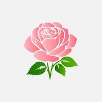 blooming flowers and leaves, Spring botanical flat illustration on white background vector