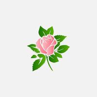 blooming flowers and leaves, Spring botanical flat illustration on white background vector