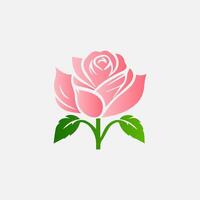 blooming flowers and leaves, Spring botanical flat illustration on white background vector