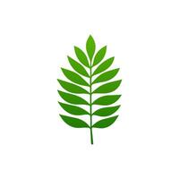 green leaf. Elements design for natural, eco, vegan, bio labels vector