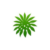 green leaf. Elements design for natural, eco, vegan, bio labels vector