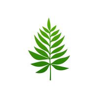 green leaf. Elements design for natural, eco, vegan, bio labels vector
