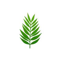 green leaf. Elements design for natural, eco, vegan, bio labels vector