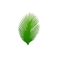 green leaf. Elements design for natural, eco, vegan, bio labels vector