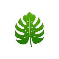 green leaf. Elements design for natural, eco, vegan, bio labels vector