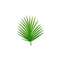 green leaf. Elements design for natural, eco, vegan, bio labels vector