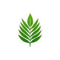 green leaf. Elements design for natural, eco, vegan, bio labels vector