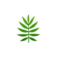green leaf. Elements design for natural, eco, vegan, bio labels vector