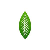 green leaf. Elements design for natural, eco, vegan, bio labels vector