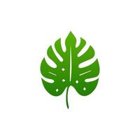 green leaf. Elements design for natural, eco, vegan, bio labels vector