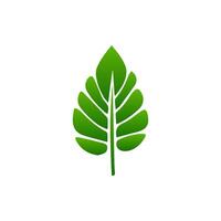 green leaf. Elements design for natural, eco, vegan, bio labels vector