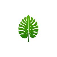 green leaf. Elements design for natural, eco, vegan, bio labels vector