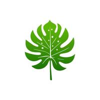green leaf. Elements design for natural, eco, vegan, bio labels vector