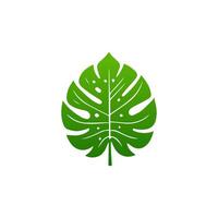 green leaf. Elements design for natural, eco, vegan, bio labels vector