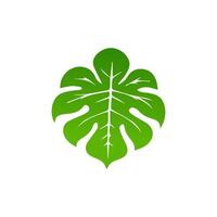 green leaf. Elements design for natural, eco, vegan, bio labels vector
