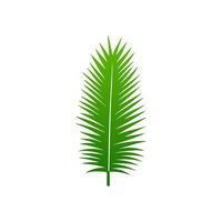 green leaf. Elements design for natural, eco, vegan, bio labels vector
