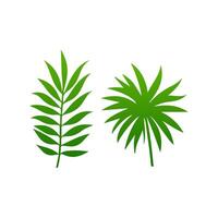 green leaf. Elements design for natural, eco, vegan, bio labels vector