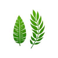green leaf. Elements design for natural, eco, vegan, bio labels vector