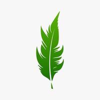 green leaf. Elements design for natural, eco, vegan, bio labels vector