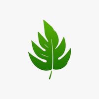 green leaf. Elements design for natural, eco, vegan, bio labels vector