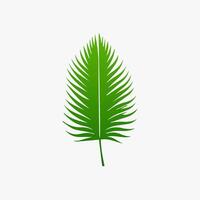 green leaf. Elements design for natural, eco, vegan, bio labels vector