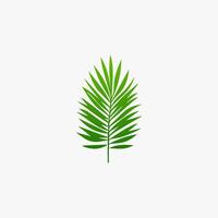 green leaf. Elements design for natural, eco, vegan, bio labels vector
