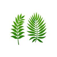green leaf. Elements design for natural, eco, vegan, bio labels vector