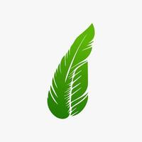 green leaf. Elements design for natural, eco, vegan, bio labels vector