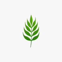 green leaf. Elements design for natural, eco, vegan, bio labels vector