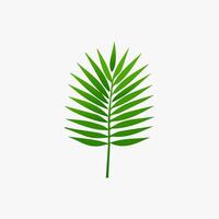 green leaf. Elements design for natural, eco, vegan, bio labels vector