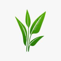 green leaf. Elements design for natural, eco, vegan, bio labels vector