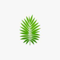 green leaf. Elements design for natural, eco, vegan, bio labels vector