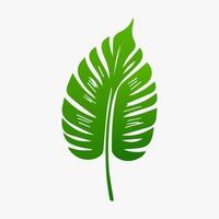 green leaf. Elements design for natural, eco, vegan, bio labels vector