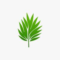 green leaf. Elements design for natural, eco, vegan, bio labels vector