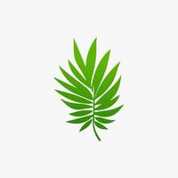 green leaf. Elements design for natural, eco, vegan, bio labels vector