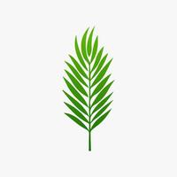 green leaf. Elements design for natural, eco, vegan, bio labels vector