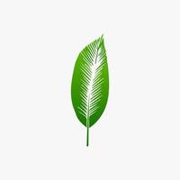green leaf. Elements design for natural, eco, vegan, bio labels vector