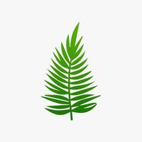 green leaf. Elements design for natural, eco, vegan, bio labels vector