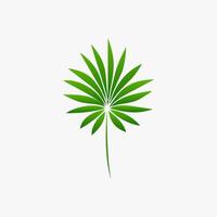 green leaf. Elements design for natural, eco, vegan, bio labels vector