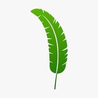 green leaf. Elements design for natural, eco, vegan, bio labels vector