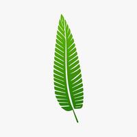 green leaf. Elements design for natural, eco, vegan, bio labels vector